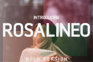 Rosalineo Bold: A Modern Typeface for Clear Communication