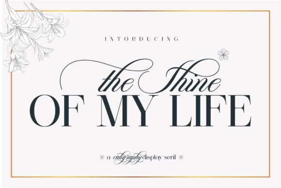 The Shine of My Life: Elevating Design with Elegant Typography